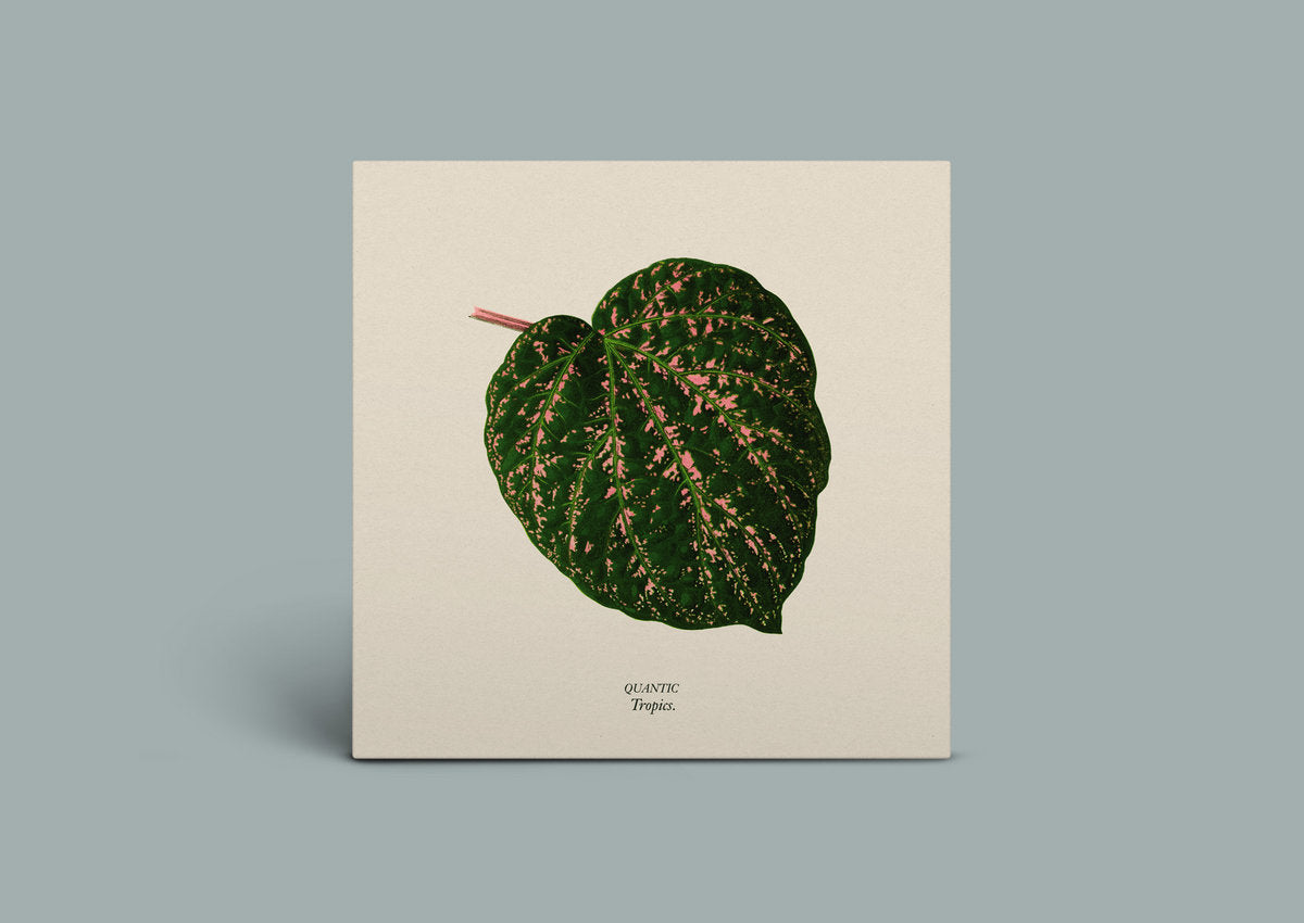 Quantic 'Tropics'
