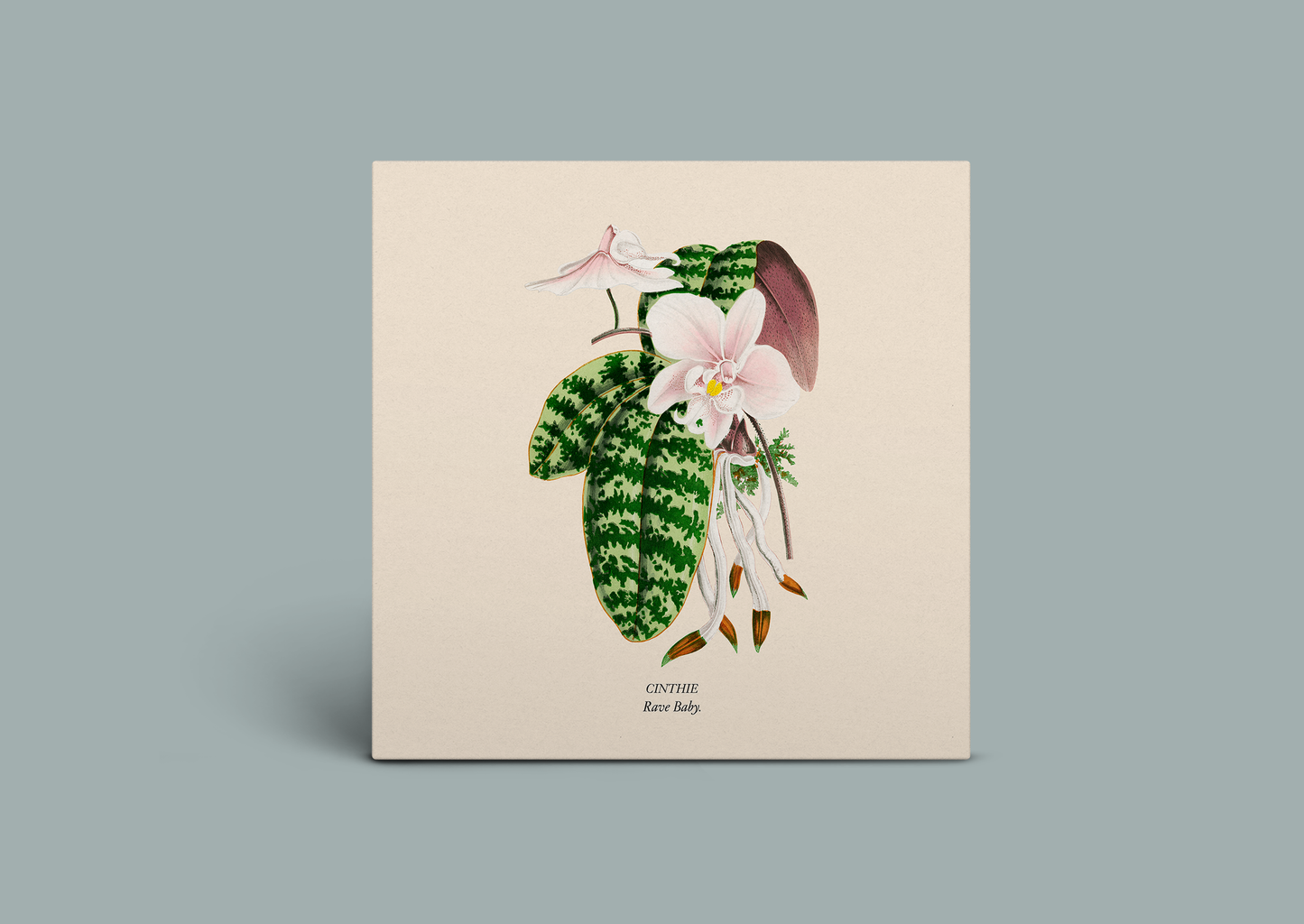 Cinthie 'Rave Baby EP'