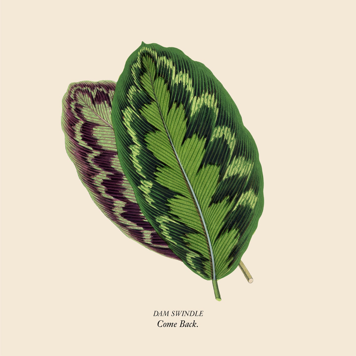 Dam Swindle 'Come Back EP'