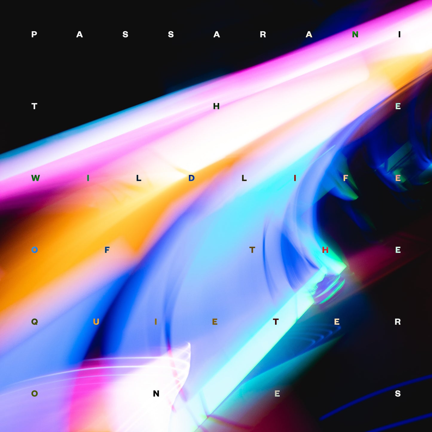 PASSARINI 'THE WILDLIFE OF THE QUIETER ONES'